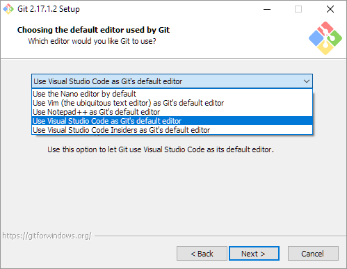 installation menu containing drop down of editor options: nano, vim, notepad++, visual studio code, visual studio code insiders