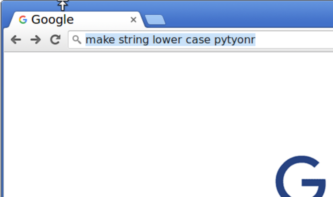 make string lower case Python Google search